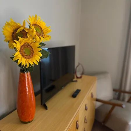 Fonte Salis Apartamento